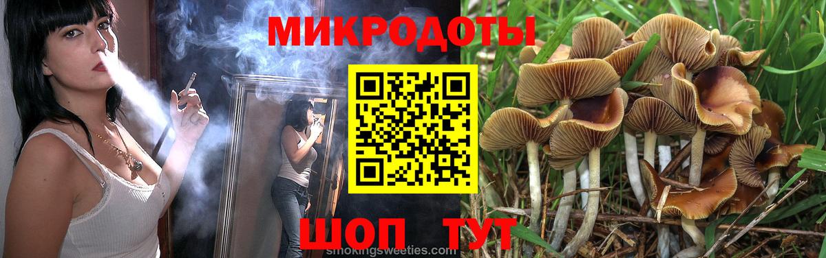 Псилоцибиновые грибы Cubensis  Вход с VPN  Можайск 