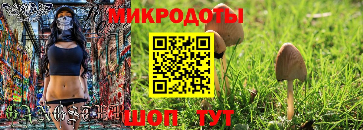 Галлюциногенные грибы Cubensis Можайск